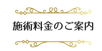 施術料金のご案内