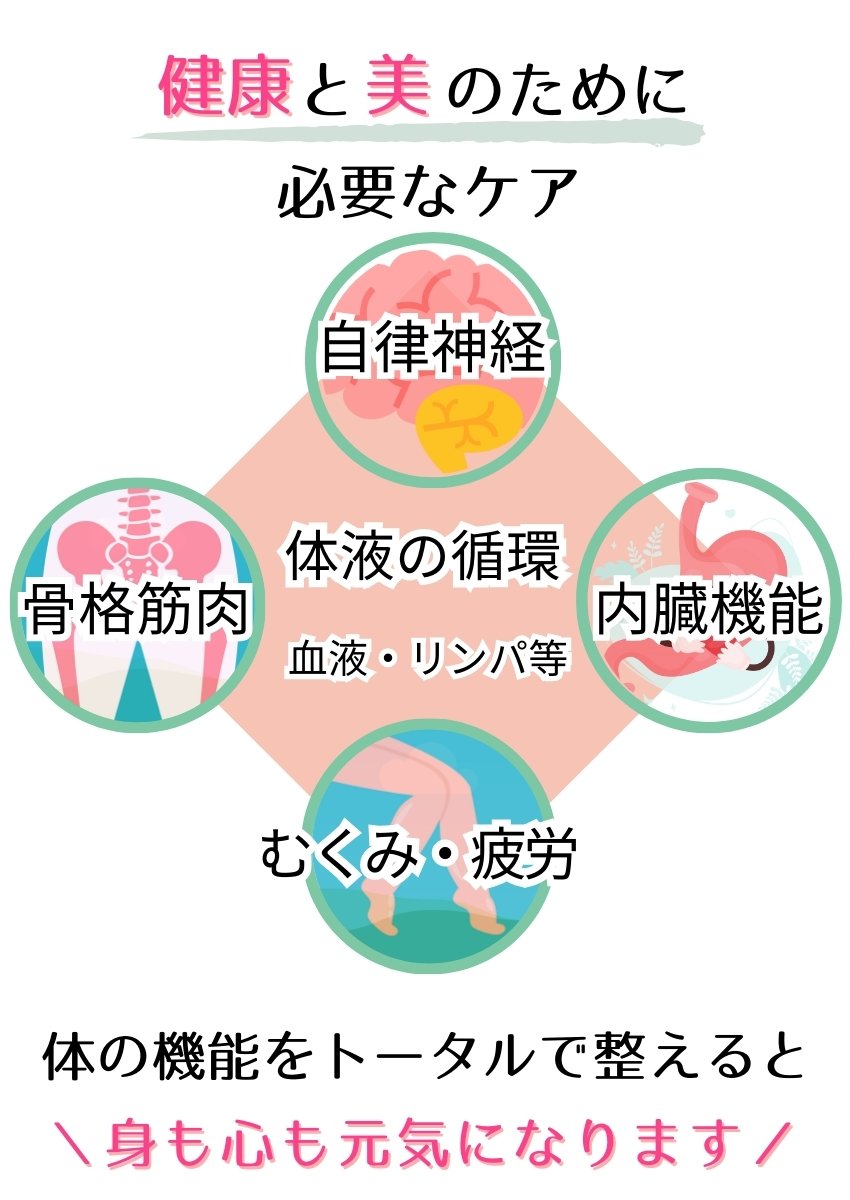 健康と美のために必要なケアは自律神経・内臓機能・むくみ疲労・骨格筋肉です