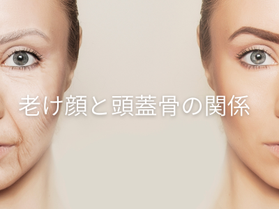 老け顔と頭蓋骨の関係