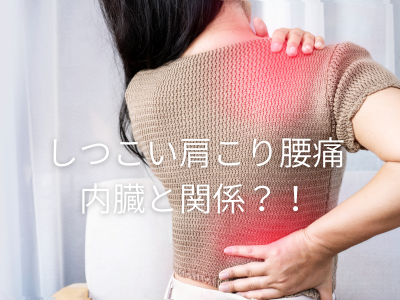 肩凝り腰痛と内臓の関係